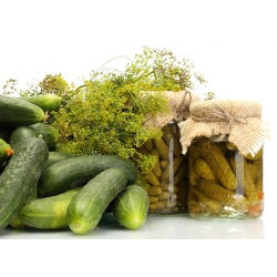 Koper ogrodowy Szmaragd - 100 gram - 65000 nasion