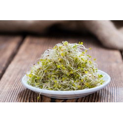 BIO Nasiona na kiełki - Brokuł - Certyfikowane nasiona ekologiczne - 3000 nasion