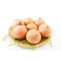 Cebula Yellow Sweet Spanish - słodka, hiszpańska cebula - 1250 nasion