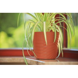 Osłona okrągła Capri - 15 cm - terakota