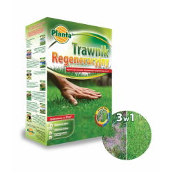 Trawnik regeneracyjny - odbudowa zniszczonego lub zaniedbanego trawnika - Planta - 1 kg