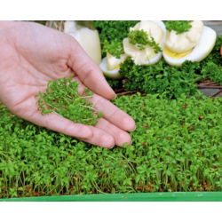 Microgreens – Rzeżucha - młode listki o unikalnym smaku - 1800 nasion