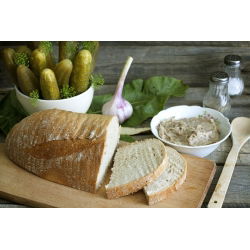 Ogórek Śremski F1 – nasiona otoczkowane - 50 nasion