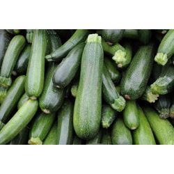 Cukinia Soraya - 100 gram - 1000 nasion