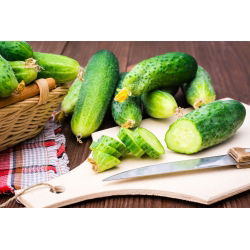 Ogórek Victoria F1 - gruntowy, intensywnie zielony z drobnymi brodawkami - 175 nasion