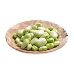 Bób Bolero - wczesny, wyjątkowo duże nasiona