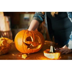 Dynia ozdobna Halloween - najlepsza do rzeźbienia - 15 nasion