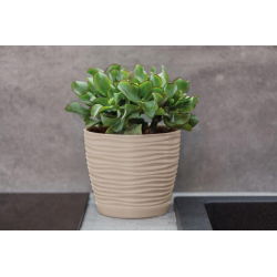 Doniczka okrągła + podstawka Sahara petit - 19 cm - cafe latte