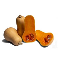 Dynia piżmowa Waltham Butternut