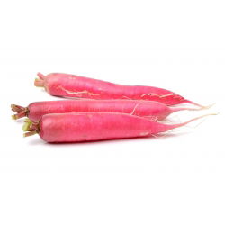 Rzodkiew letnia Ostergruss Rosa 2