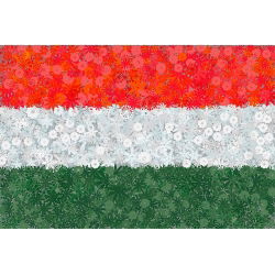 Węgierska flaga - zestaw 3 odmian nasion kwiatów