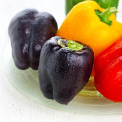 Papryka słodka mieszanka odmian do uprawy w gruncie