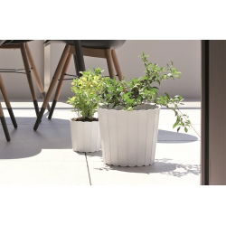 Doniczka okrągła Boardee Basic - 16,5 cm - biały