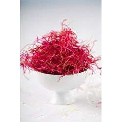 BIO Nasiona na kiełki - Burak ćwikłowy - Certyfikowane nasiona ekologiczne