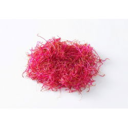 BIO Nasiona na kiełki - Burak ćwikłowy - Certyfikowane nasiona ekologiczne