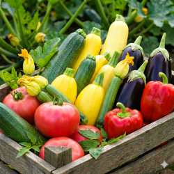 Warzywa do faszerowania - zestaw 5 odmian nasion