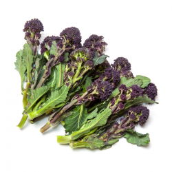 Brokuł Early Purple Sprouting
