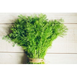 Koper ogrodowy Moravan - 100 gram