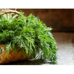 Koper ogrodowy Moravan - 100 gram