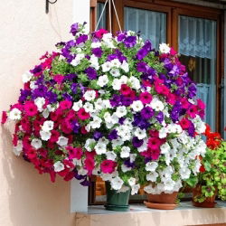 Wiszący koszyk na kwiaty z matą kokosową - 30 cm