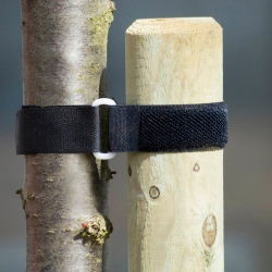 Opaska do palikowania drzewek - 40 x 2,5 cm - 2 sztuki