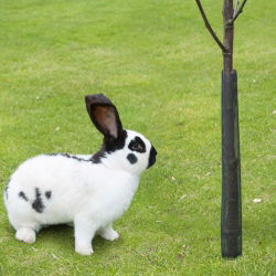 Osłonka ochronna na drzewka - 100 cm - 3 szt.