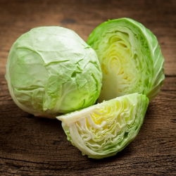 Kapusta głowiasta biała Ditmarska - 480 nasion