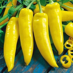 Papryka ostra węgierska Hungarian yellow wax hot - 70 nasion