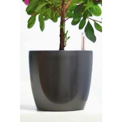 Doniczka okrągła Coubi Duo - 12 cm - Grafitowa