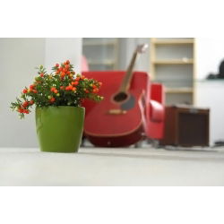 Doniczka okrągła Coubi Duo - 15 cm - Oliwkowa