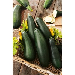 Cukinia Soraya - 100 gram - 1000 nasion