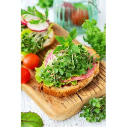 Microgreens - Brokuł - młode listki o unikalnym smaku - 1500 nasion
