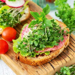 Microgreens - Brokuł - młode listki o unikalnym smaku - 1500 nasion