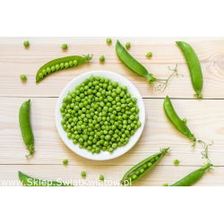 Groch Ambrosia cukrowy - 300 nasion
