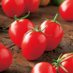 Pomidor Principe Borghese - gruntowy, typu cherry