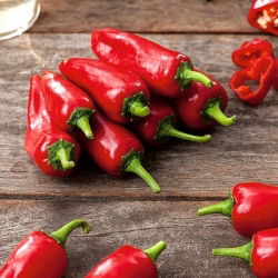 Papryka Jalapeno - bardzo ostra, czerwona - 85 nasion