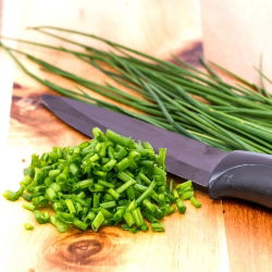 BIO Szczypiorek Medium leaf - Certyfikowane nasiona ekologiczne