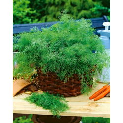 Koper ogrodowy Hanak - wczesny - 500 g