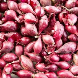 Cebula dymka - czerwona - 10 kg