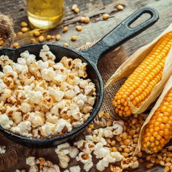 Kukurydza pękająca Płomyk - 200 nasion