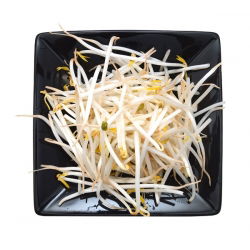 BIO Nasiona na kiełki - Fasola Mung - certyfikowane nasiona ekologiczne