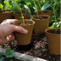 Okrągłe doniczki torfowe - 6 cm śr. - 96 sztuk
