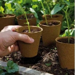 Okrągłe doniczki torfowe - 6 cm śr. - 500 sztuk