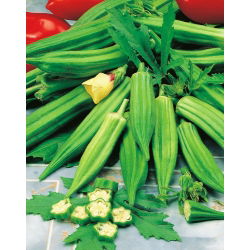 Ketmia jadalna - Okra - 30 nasion