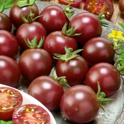 Pomidor wysoki - Black cherry - 60 nasion