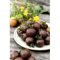 Pomidor wysoki - Black cherry - 60 nasion