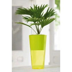 Osłonka wysoka Vulcano Tube - 20 cm - żółta transparentna