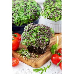 Microgreens - Mizuna mix - młode listki o unikalnym smaku