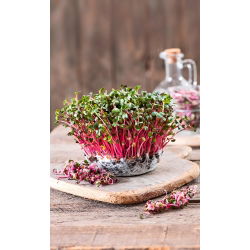 Microgreens - Rzodkiewka - młode listki o unikalnym smaku - 250 gram