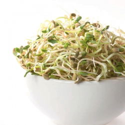 Nasiona na kiełki z kiełkownicą małą - Kozieradka